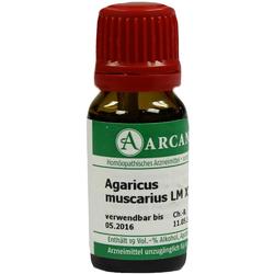 AGARICUS ARCA LM 12