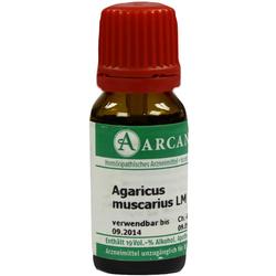 AGARICUS ARCA LM 18