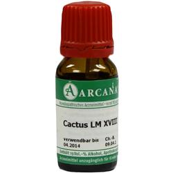 CACTUS ARCA LM 18