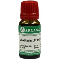 CANTHARIS ARCA LM 18