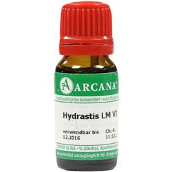 HYDRASTIS ARCA LM 6