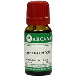LACHESIS ARCA LM 30