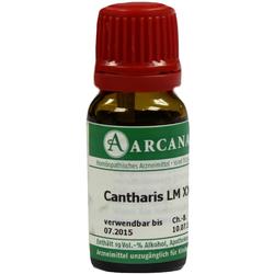 CANTHARIS ARCA LM 30